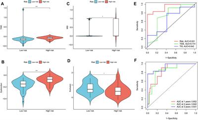 Identification and Validation of a Prognostic Immune-Related Gene Signature in Esophageal Squamous Cell Carcinoma